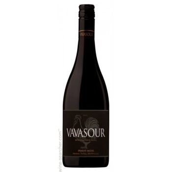 Vavasour PinotN